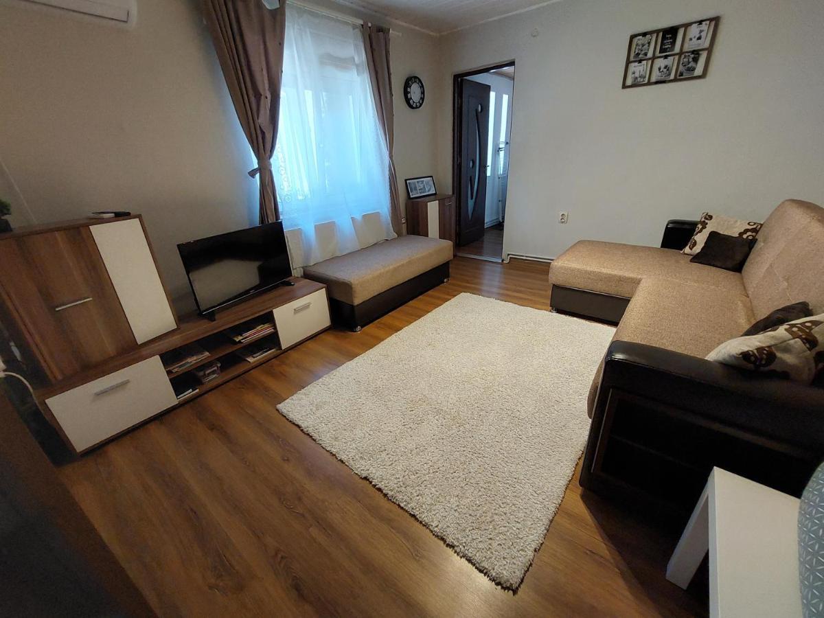 Appartement Cozy, Quiet & Family Friendly In Arad Extérieur photo